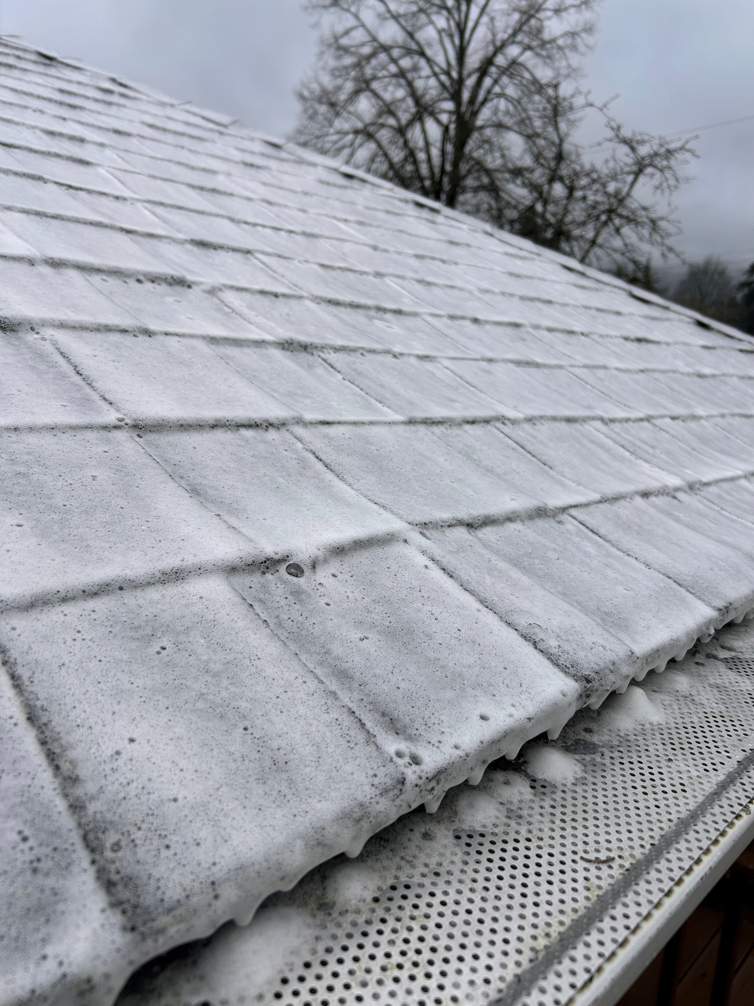 Roof cleaning services banner