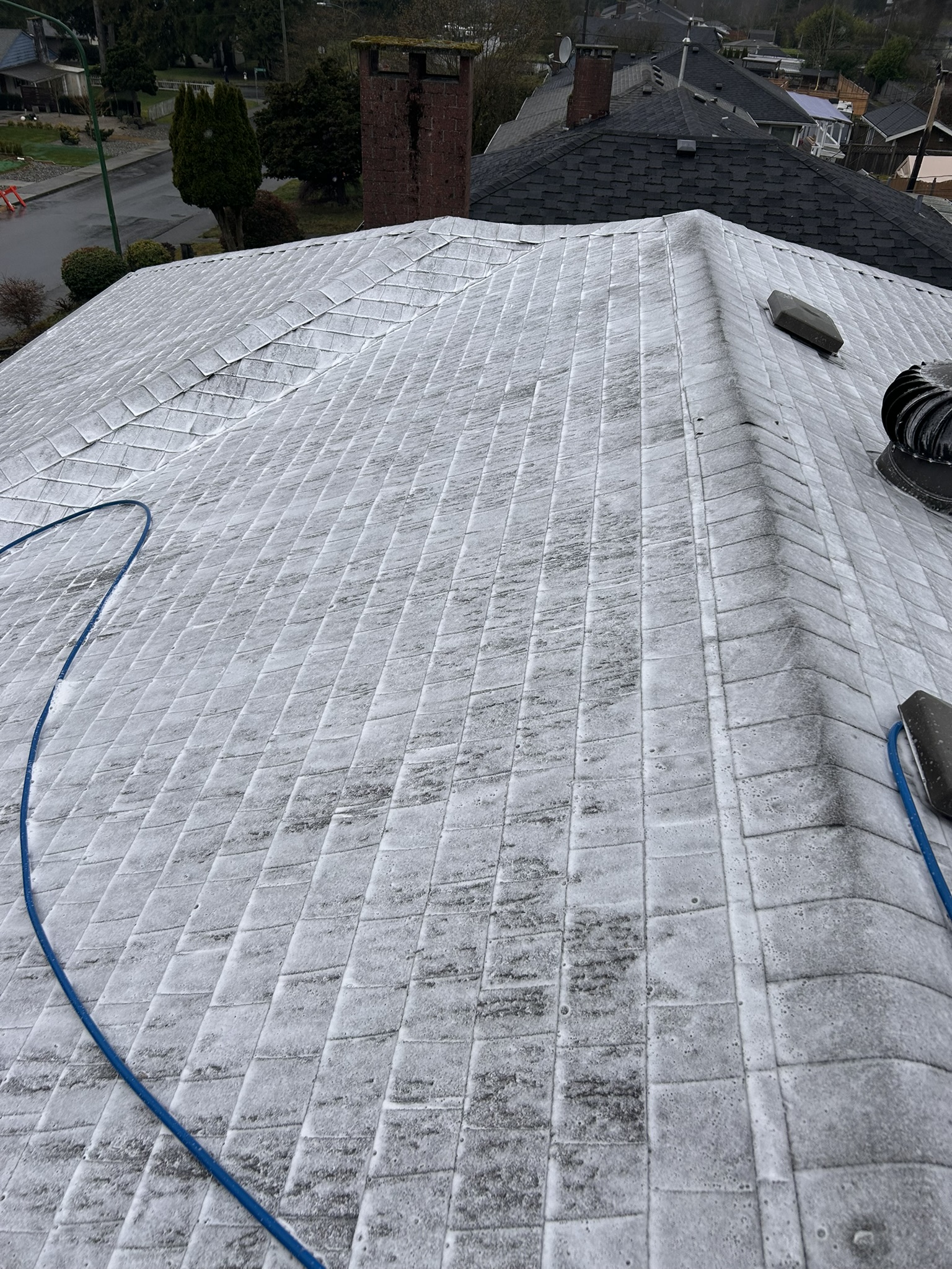 Roof cleaning services vancouver bc