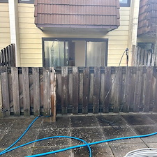 Cedar-Fence-Cleaning-in-Burnaby-BC 3