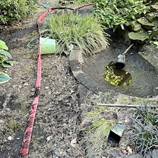 Quality-Paver-Cleaning-in-Vancouver-BC-Back-Yard-Revival 3