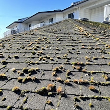 Quality-Roof-Cleaning-Soft-Wash-of-Shingle-Roof-Moss-Removal-Richmond-BC 3