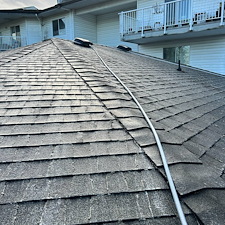 Quality-Roof-Cleaning-Soft-Wash-of-Shingle-Roof-Moss-Removal-Richmond-BC 0