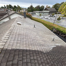 Quality-Roof-Cleaning-Soft-Washing-Richmond-BC 5