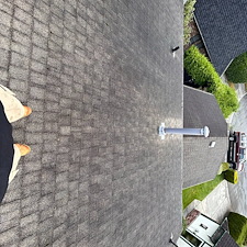 Quality-Roof-Cleaning-Soft-Washing-Richmond-BC 8