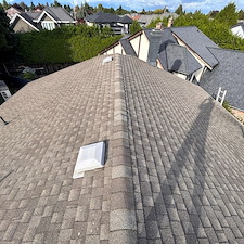 Quality-Roof-Cleaning-Soft-Washing-Richmond-BC 3