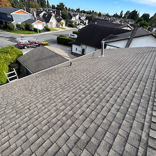 Quality-Roof-Cleaning-Soft-Washing-Richmond-BC 2