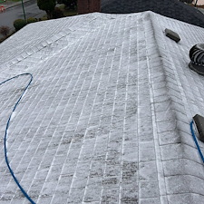 Quality-Roof-Washing-Treatment-in-Burnaby-BC 1