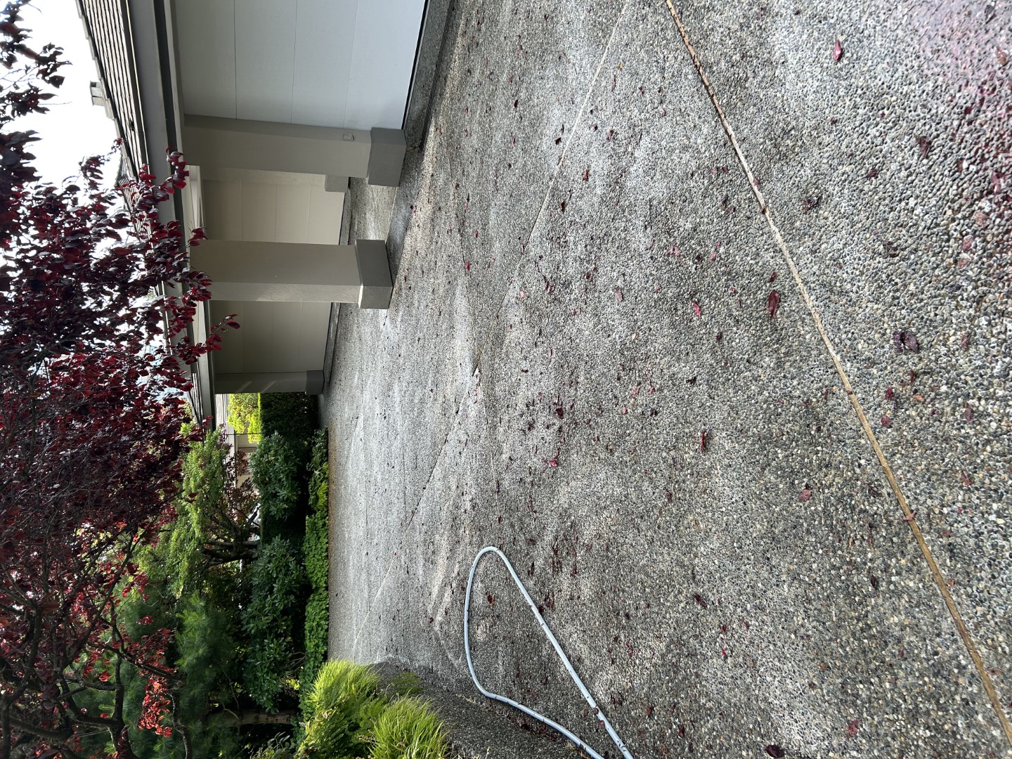 Soft Wash Driveway Cleaning Performed in Vancouver, BC