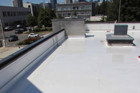 Tpo flat roof cleaning