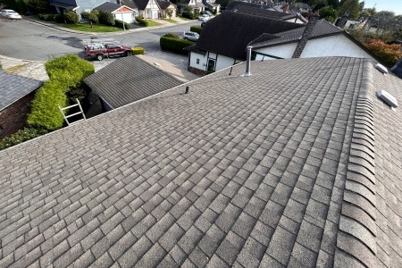 Roof cleaning